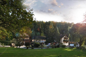 Отель Hotel Restaurant Paradeismühle  Клингенберг-На-Майне